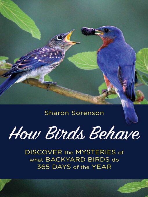 Title details for How Birds Behave by Sharon Sorenson - Wait list
